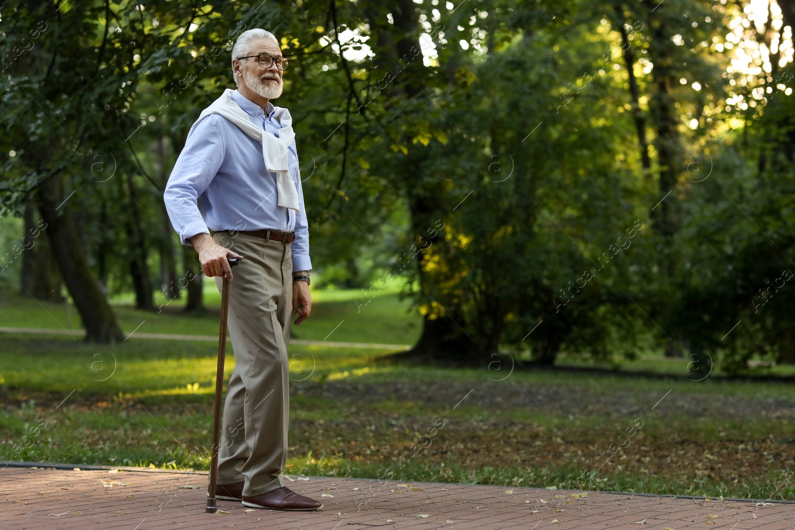 Photo of Senior man with walking cane in park. Space for text