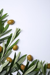 Photo of Twigs with olives and fresh green leaves on white background, flat lay. Space for text
