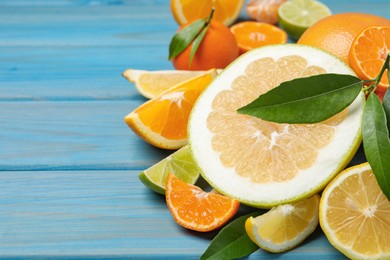 Photo of Different citrus fruits with fresh leaves on light blue wooden table, closeup. Space for text