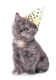 Image of Cute kitten with party hat on white background