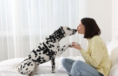 Photo of Adorable Dalmatian dog giving paw to happy woman on bed at home. Lovely pet