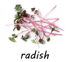 Image of Heap of fresh organic microgreen on white background, top view