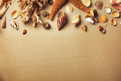 Photo of Different beautiful sea shells on sand, flat lay. Space for text