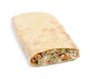 Photo of Delicious strudel with chicken and vegetables isolated on white