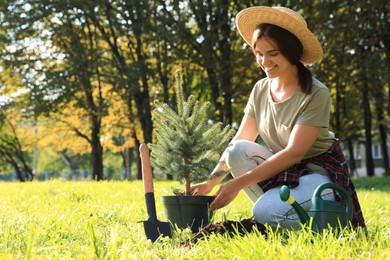 Photo of Young woman planting conifer tree in park on sunny day