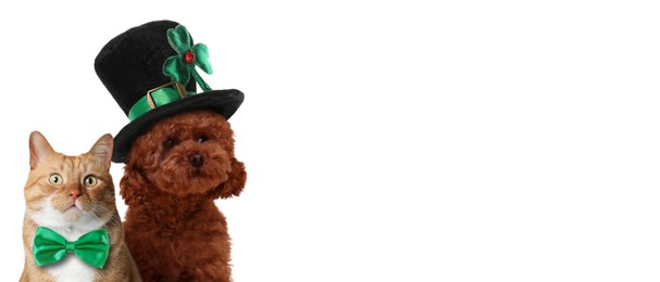 Image of St. Patrick's day celebration. Cute dog in leprechaun hat and cat with green bow tie on white background. Banner design with space for text