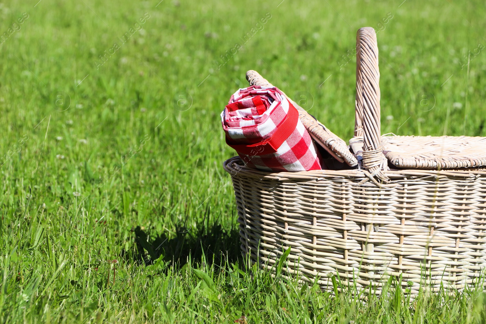 Photo of Rolled checkered tablecloth in picnic basket on green grass outdoors, space for text