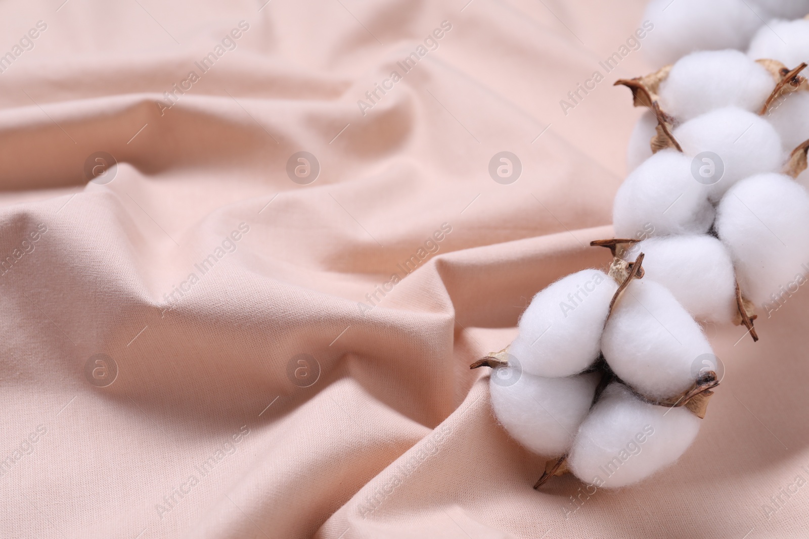 Photo of Fluffy cotton flowers on beige fabric, closeup. Space for text