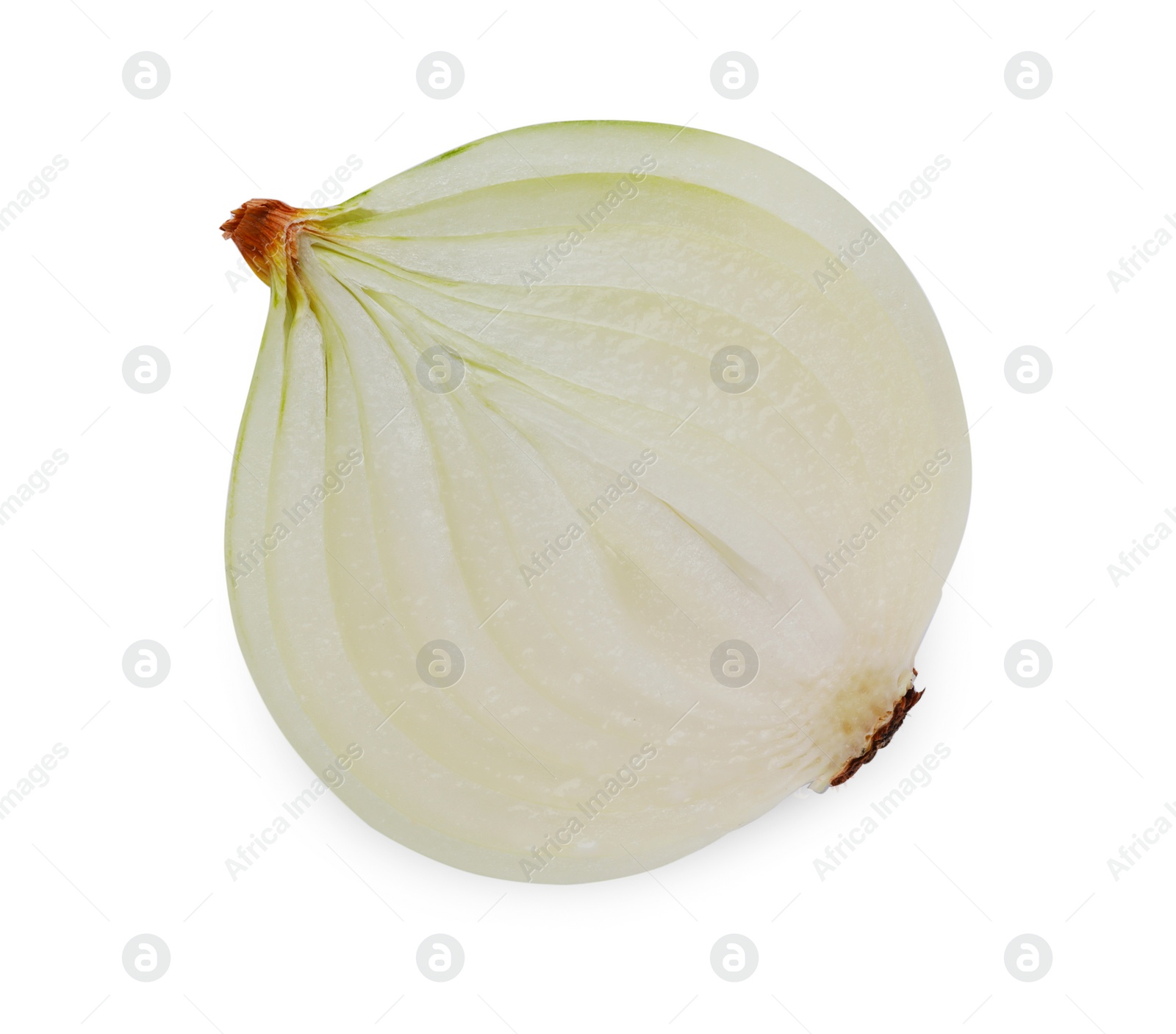 Photo of Half of fresh ripe onion isolated on white, top view