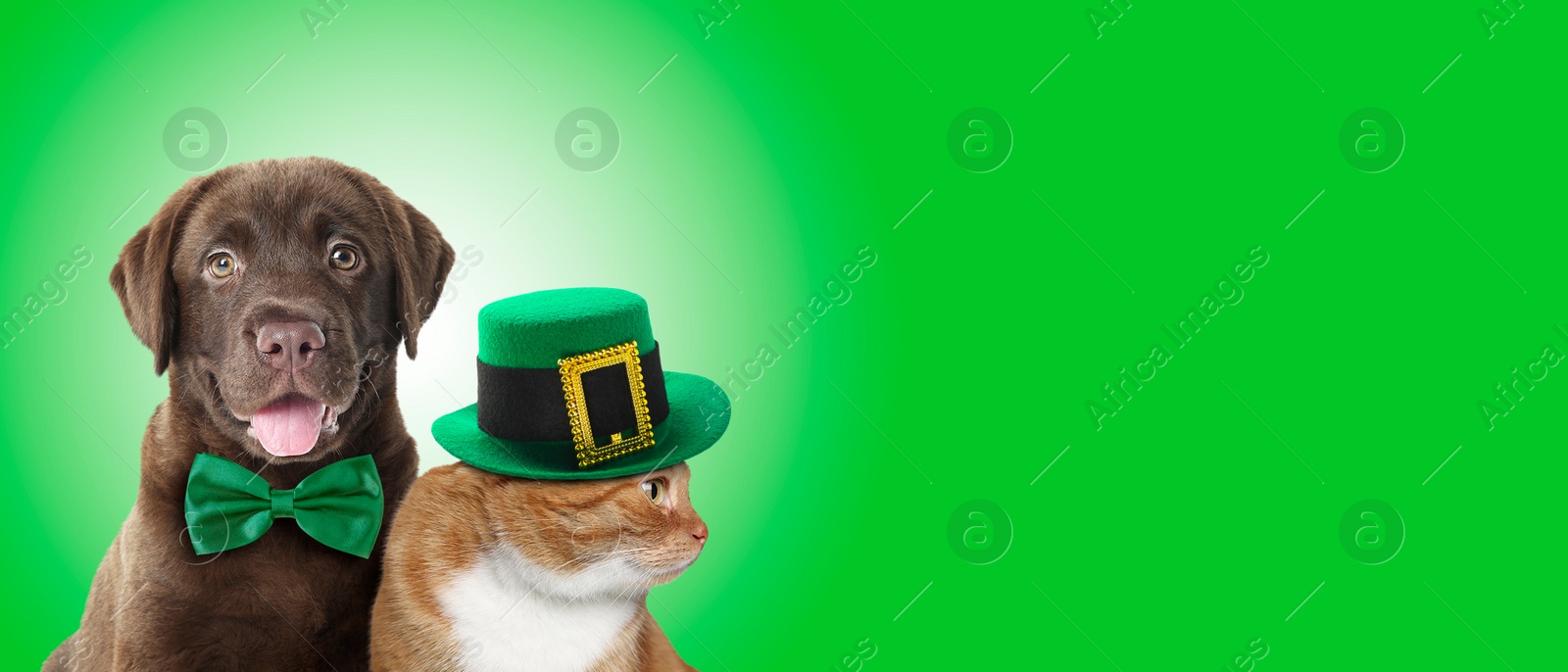 Image of St. Patrick's day celebration. Cute cat in leprechaun hat and dog with bow tie on green background. Banner design with space for text