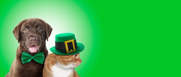 Image of St. Patrick's day celebration. Cute cat in leprechaun hat and dog with bow tie on green background. Banner design with space for text