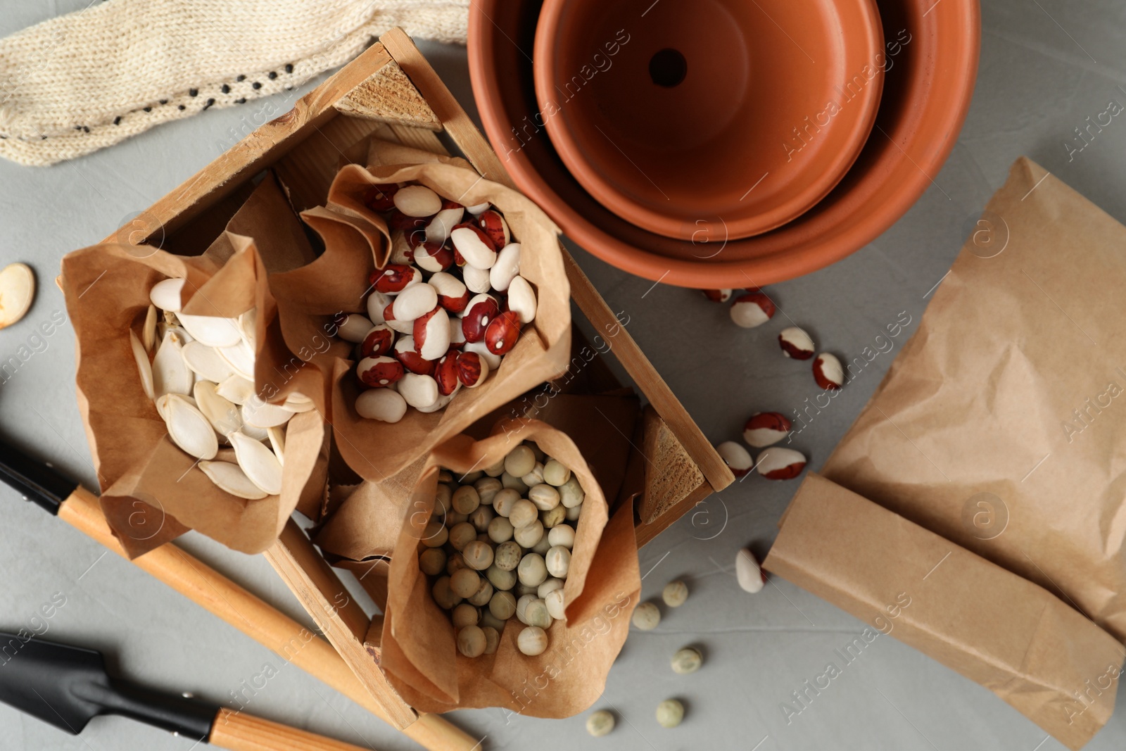 Photo of Different vegetable seeds and gardening tools on light grey table, flat lay