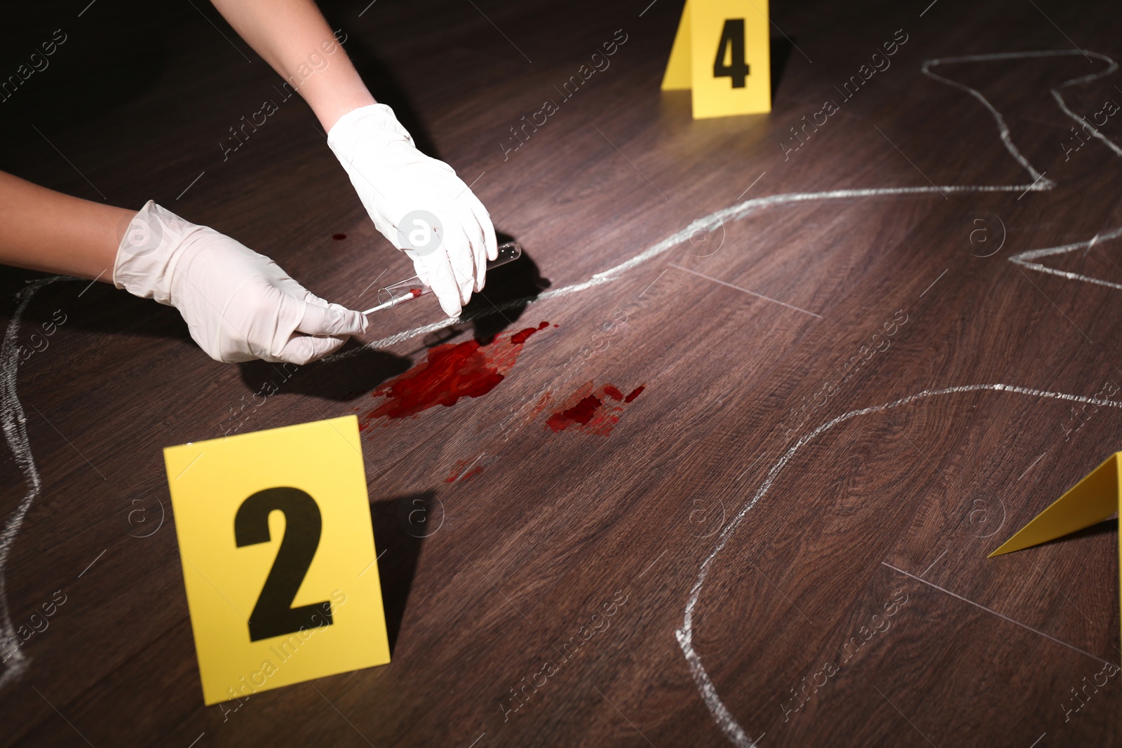 Photo of Detective taking blood sample from crime scene, closeup