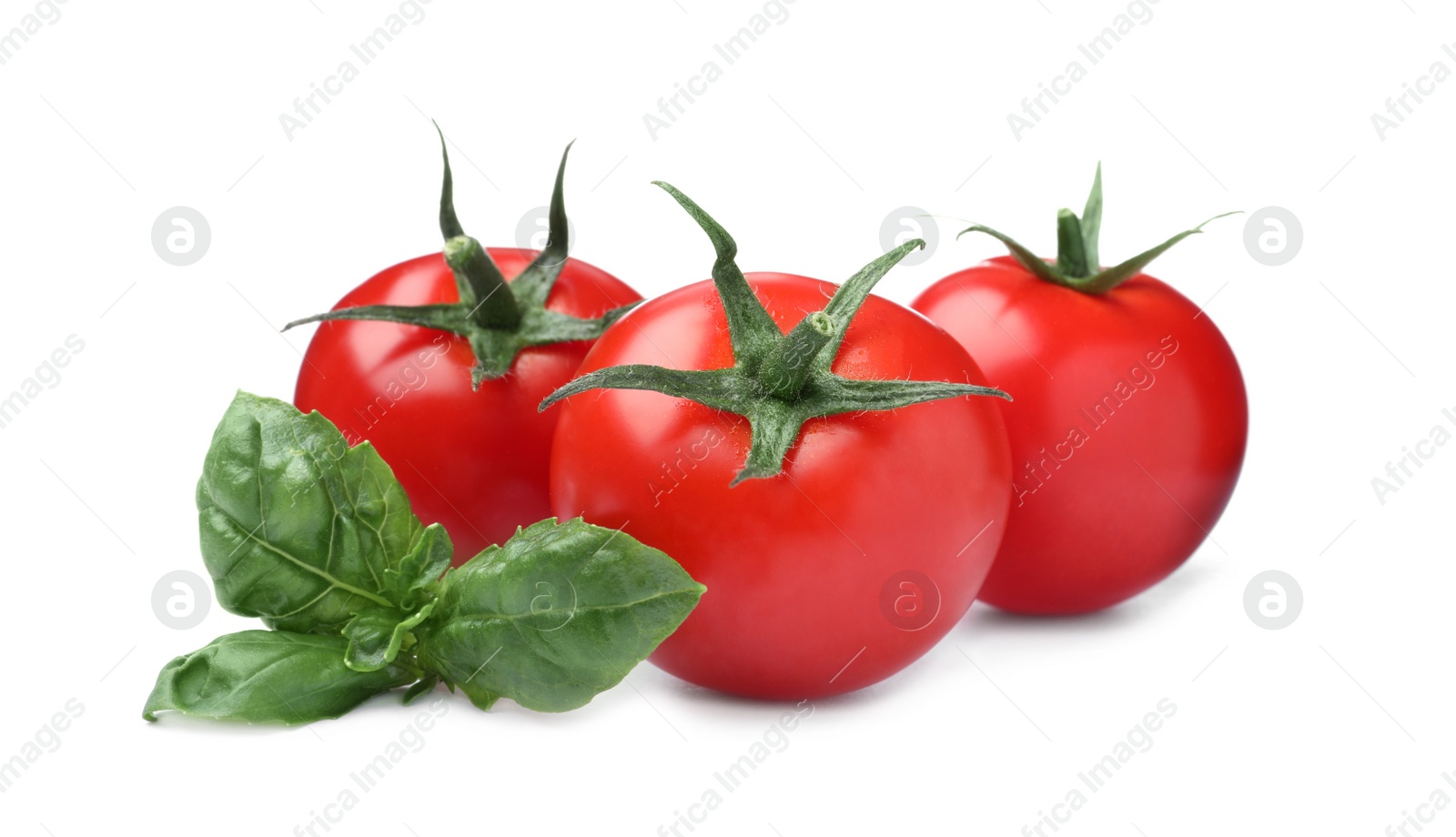 Photo of Fresh green basil leaves and tomatoes on white background