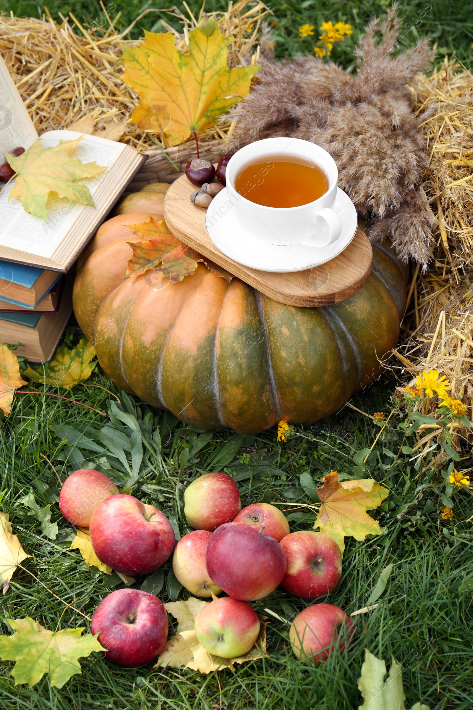 Photo of Books, pumpkin, apples and cup of tea on green grass outdoors. Autumn season