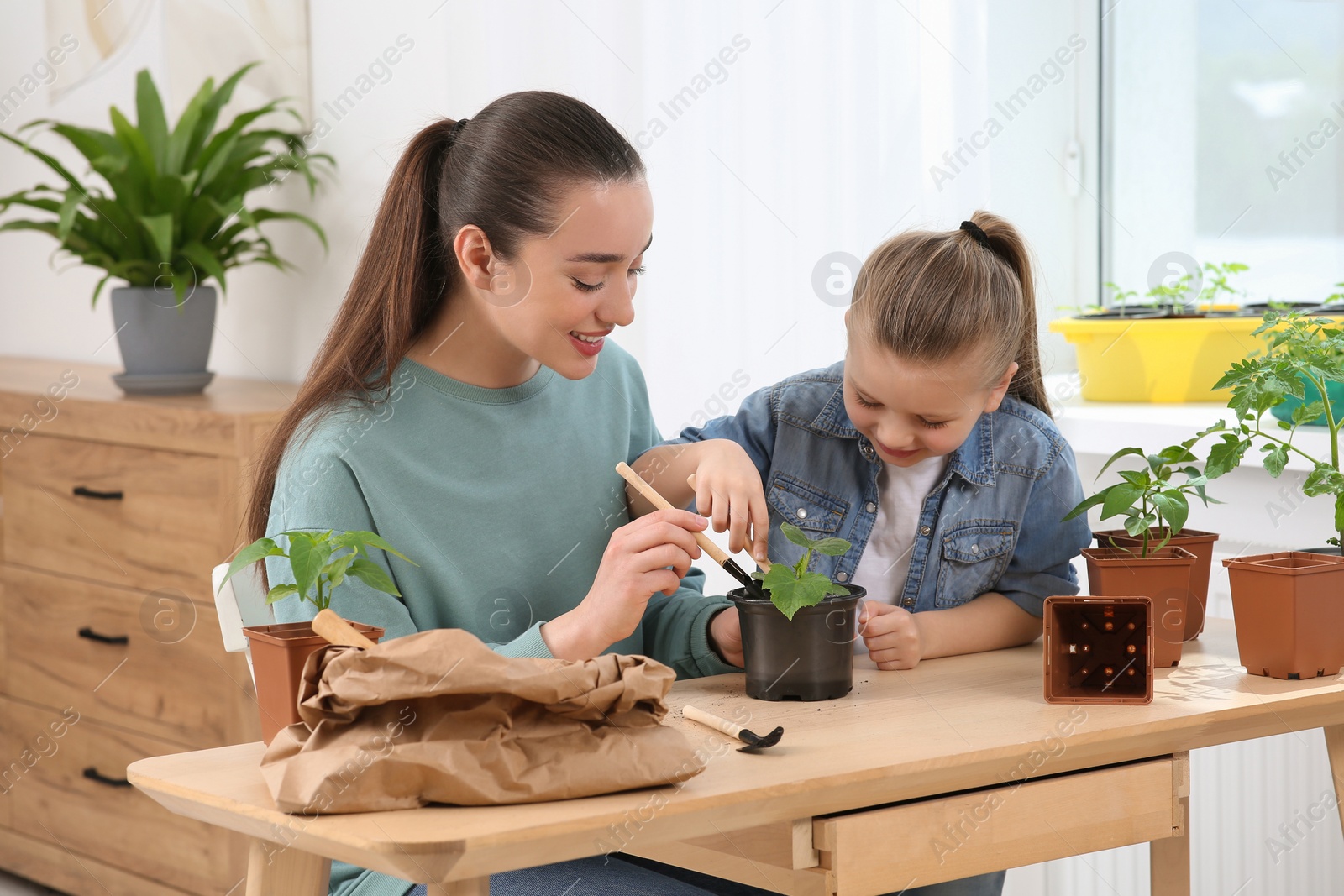 Photo of Mother and daughter planting seedling into pot together at wooden table in room