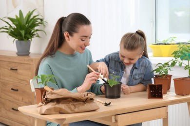 Mother and daughter planting seedling into pot together at wooden table in room