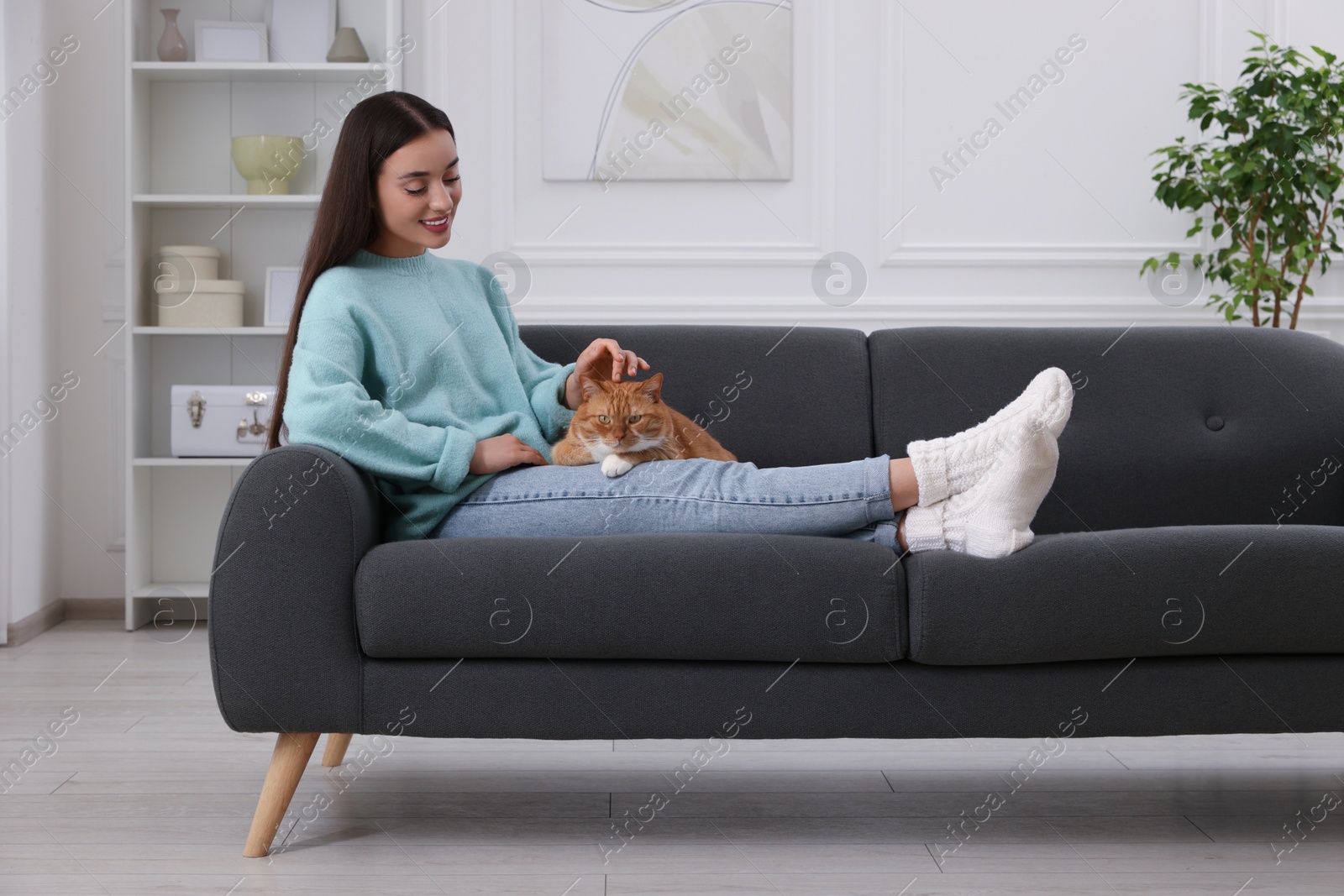 Photo of Beautiful woman petting cute cat on sofa at home