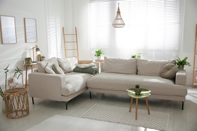 Photo of Stylish living room interior with comfortable grey sofa and beautiful pictures