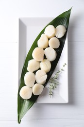 Photo of Fresh raw scallops and thyme on white wooden , top view
