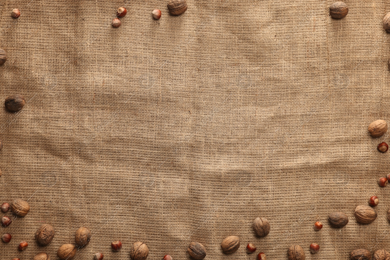 Photo of Many walnuts on burlap fabric, top view. Space for text