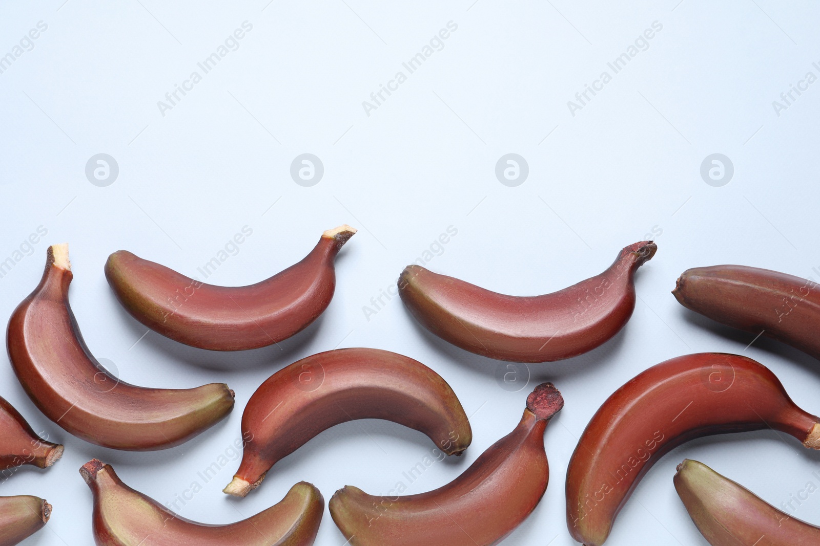 Photo of Tasty red baby bananas on light blue background, flat lay. Space for text