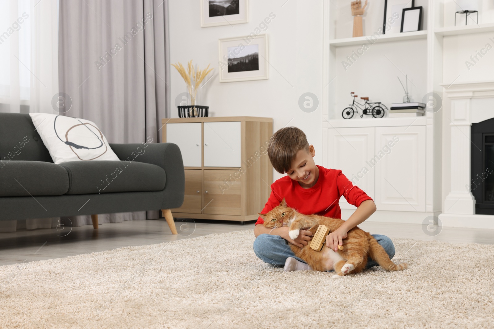 Photo of Little boy brushing cute ginger cat's fur on soft carpet at home