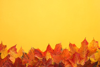Photo of Autumn season. Colorful maple leaves on yellow background, flat lay with space for text