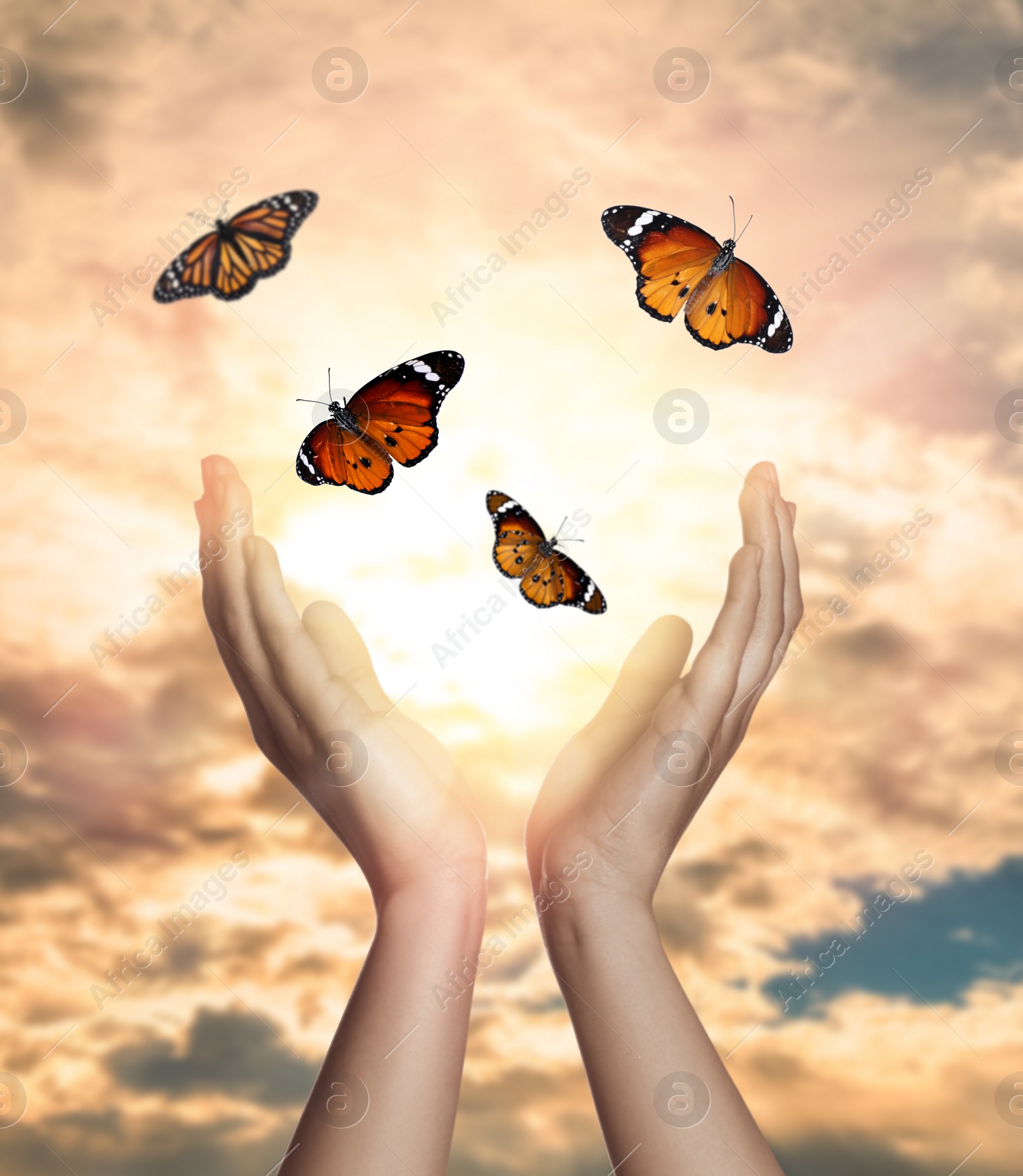 Image of Woman releasing butterflies against beautiful sky outdoors, closeup. Freedom concept