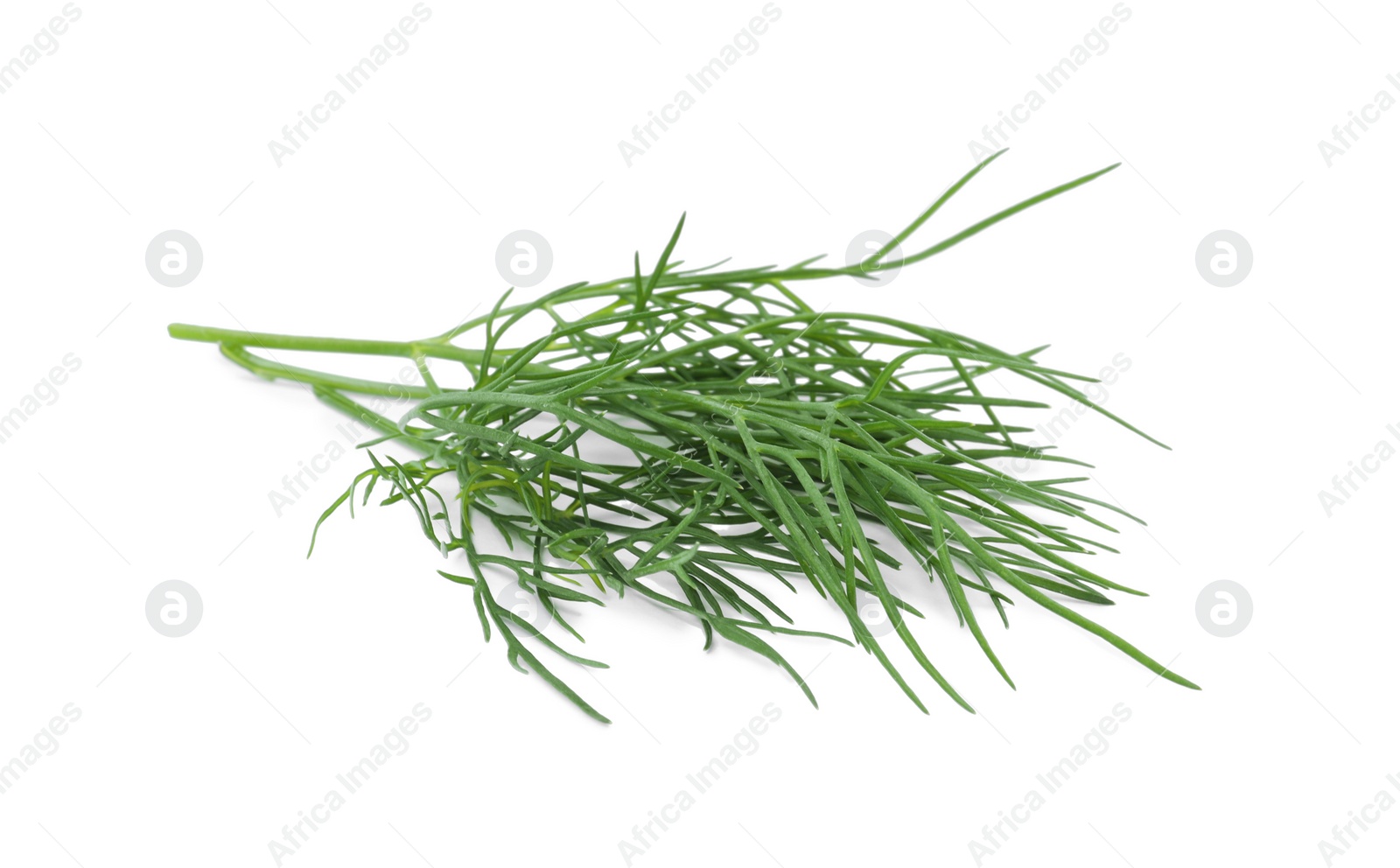 Photo of Sprigs of fresh dill isolated on white