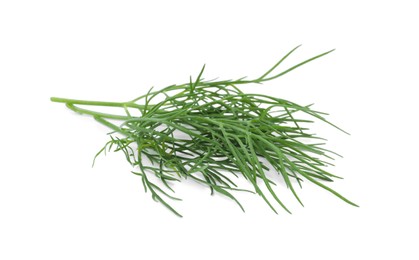 Sprigs of fresh dill isolated on white