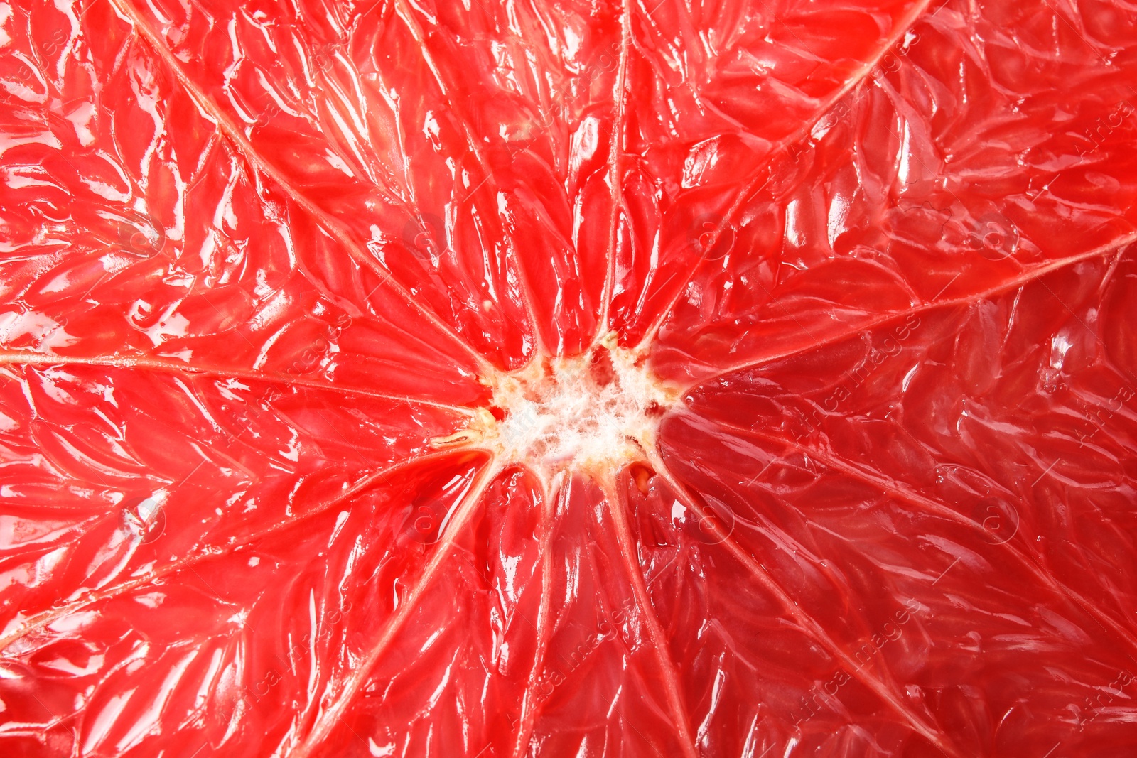 Photo of Texture of fresh ripe grapefruit, closeup view