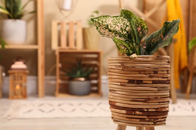 Photo of Wooden cachepot with houseplant on floor in room, space for text. Interior accessories