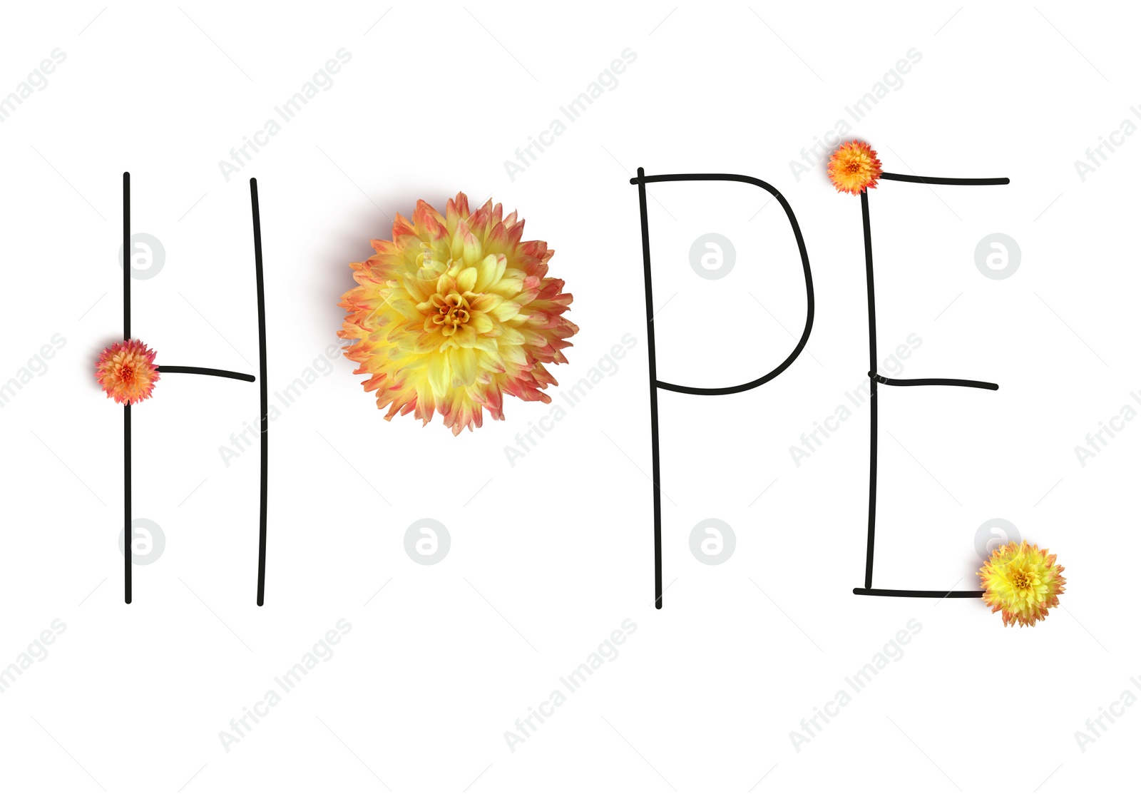 Image of Word HOPE made with letters and beautiful dahlia flower on white background