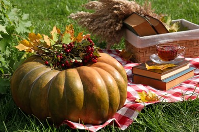 Pumpkin, hawthorn berries and cup of tea on plaid outdoors. Autumn atmosphere