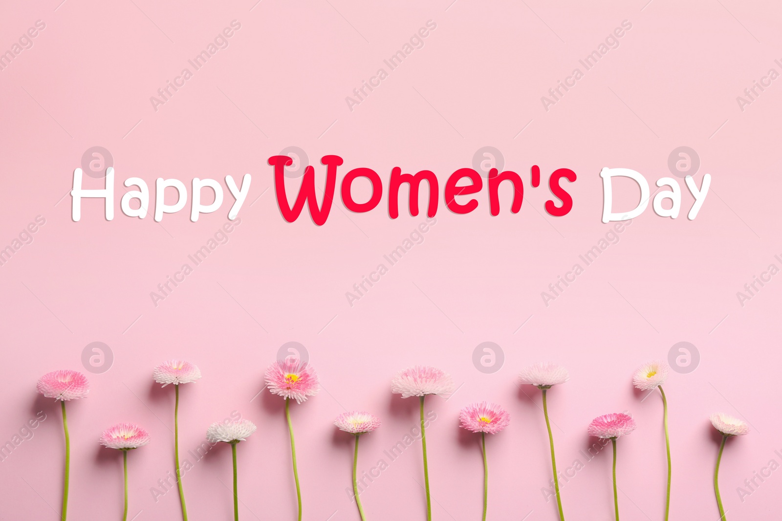 Image of Spring flowers on pink background, flat lay. Happy Women's Day