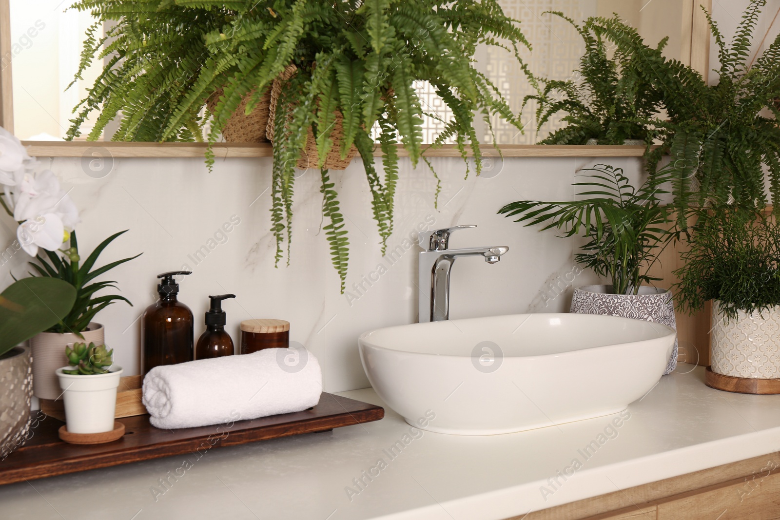 Photo of Counter with sink and many different houseplants near white marble wall