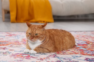 Photo of Cute ginger cat lying on carpet at home