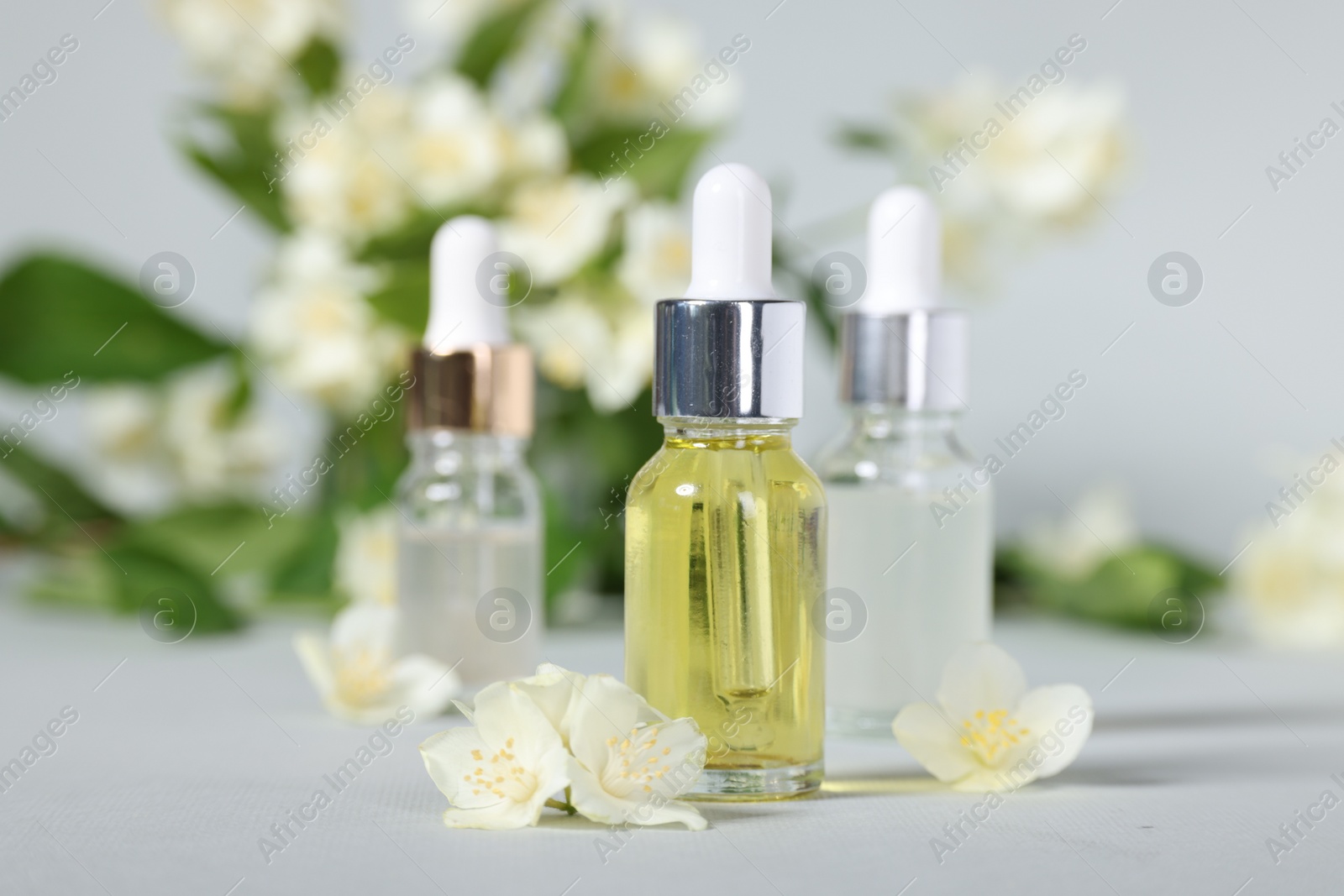 Photo of Essential oils in bottles and beautiful jasmine flowers on grey background, closeup