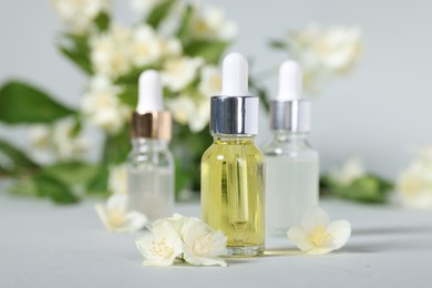 Essential oils in bottles and beautiful jasmine flowers on grey background, closeup