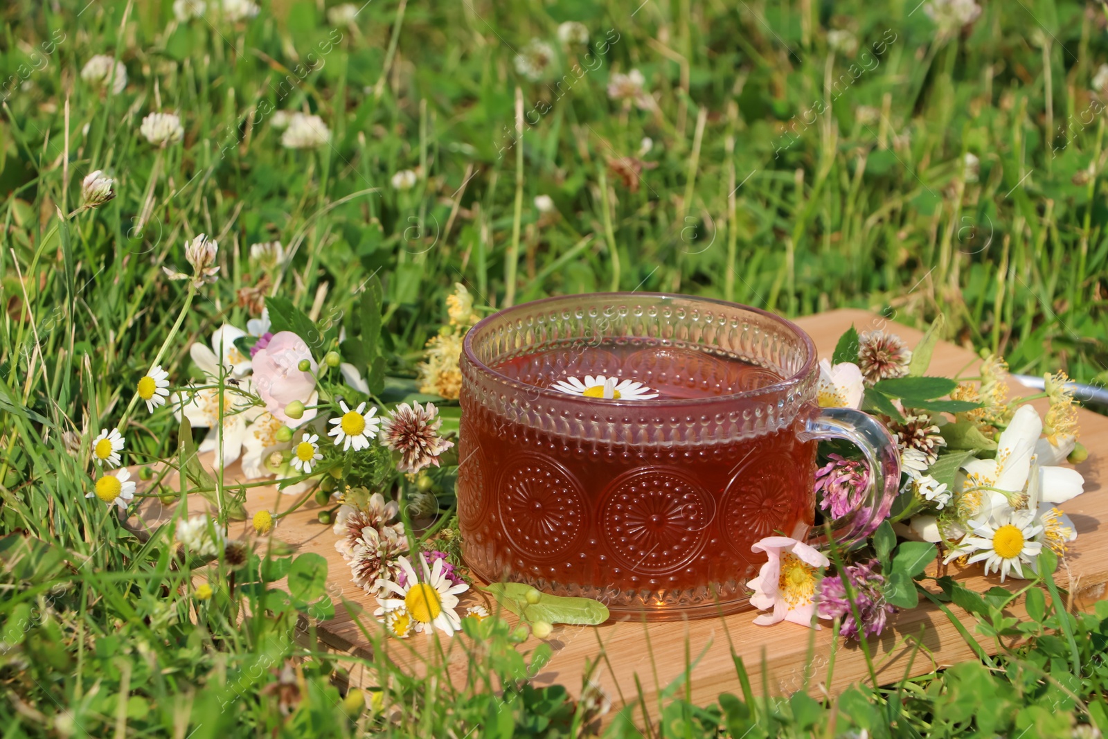 Photo of Ornate glass cup of tea, different wildflowers and herbs on wooden board in meadow