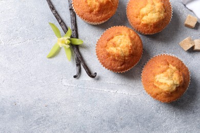 Delicious sweet muffins, vanilla pods and brown sugar on light grey textured table, flat lay. Space for text