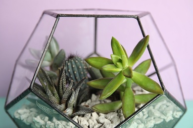 Photo of Glass florarium with different succulents on color background, closeup