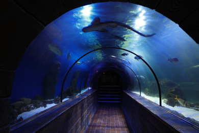 Photo of Glass underwater tunnel in modern oceanarium with fish
