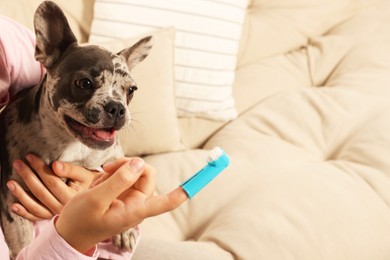 Photo of Woman with finger toothbrush near dog on sofa at home, closeup. Space for text