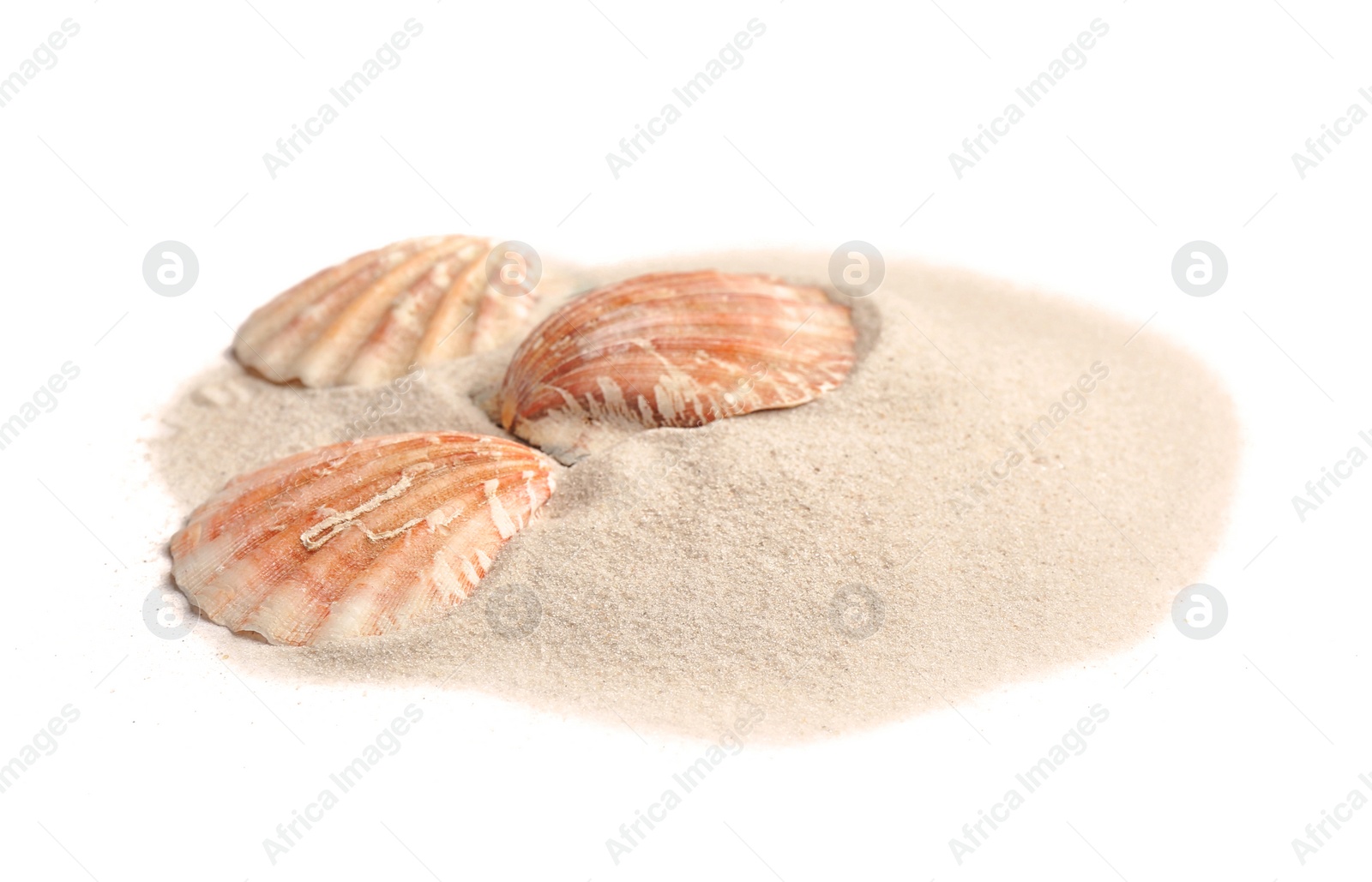 Photo of Pile of beach sand with sea shells isolated on white