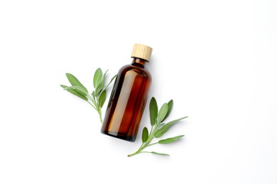 Photo of Bottles of essential sage oil and twigs on white background, top view