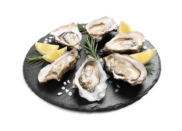 Fresh raw oysters served on white background