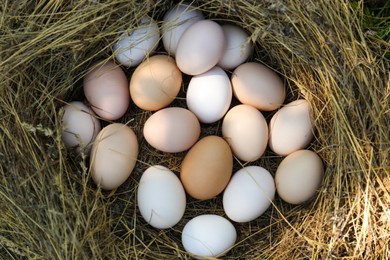 Photo of Fresh raw eggs in nest, top view