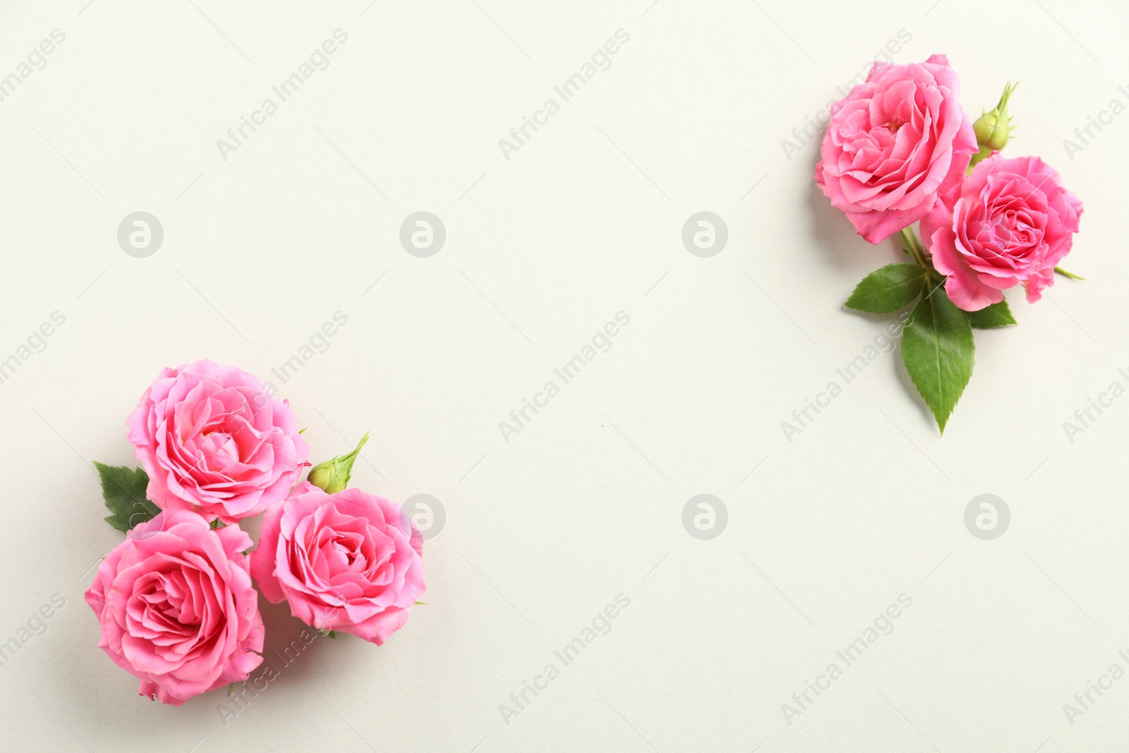 Photo of Happy Mother's Day. Beautiful roses on white background, flat lay. Space for text